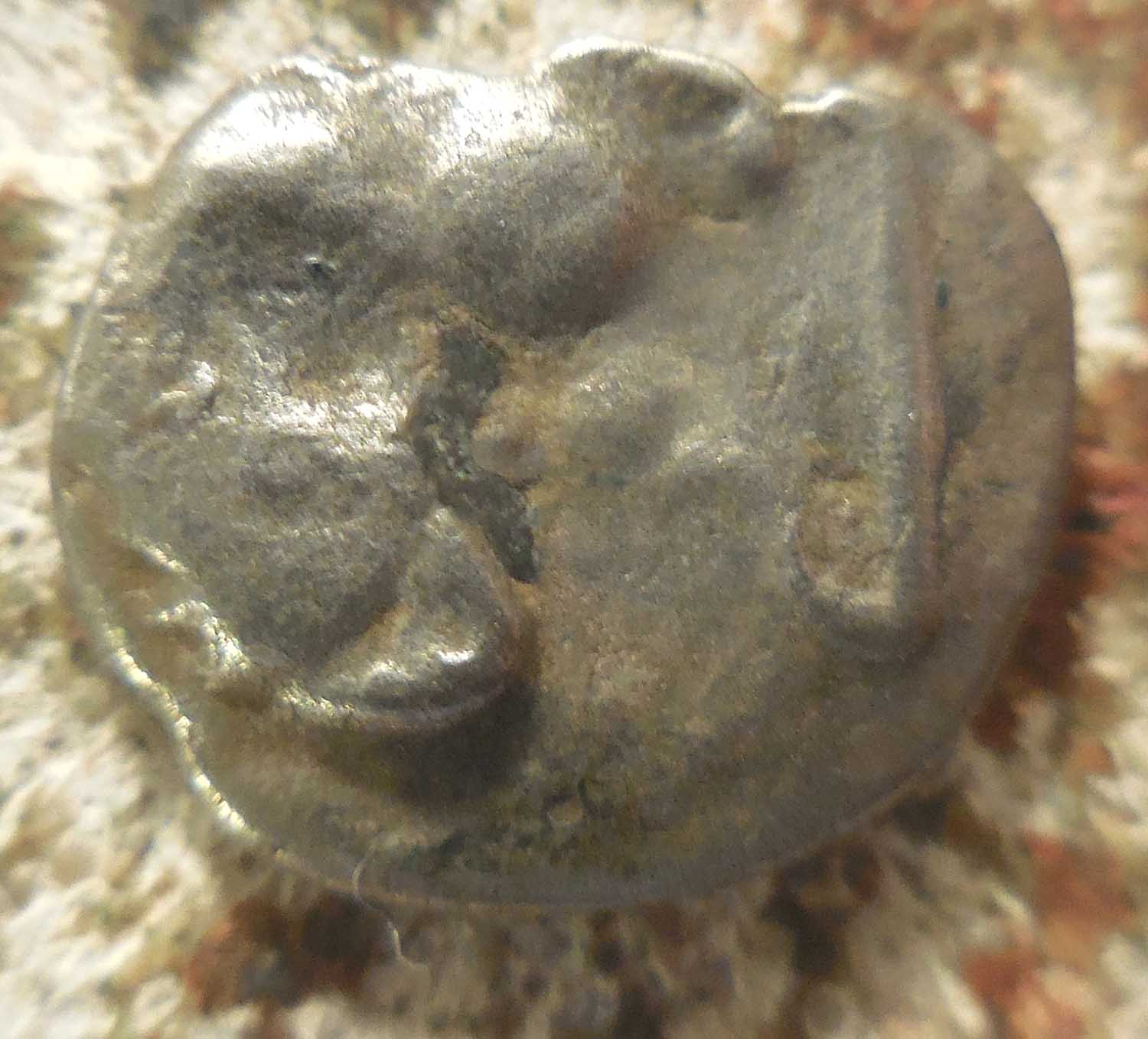 Today's-Challenge-Coin:-Greek-Silver,-11.5mm,-0.70-Grams