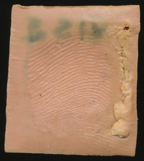 Does-Anyone-Recognize-This-Seal?