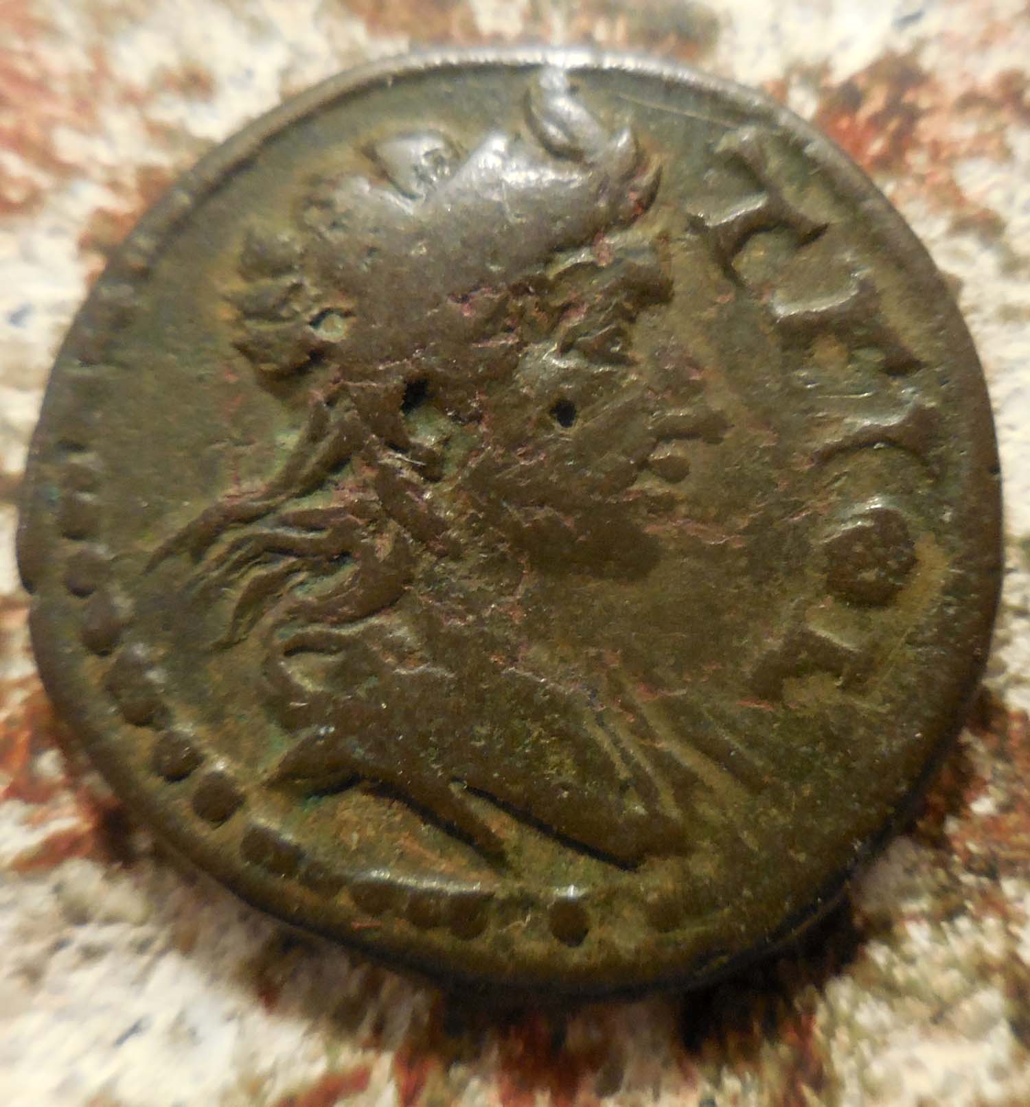 Does-Anyone-Have-This-Reference?-Tium-Bithynia,-Bust-Teios,