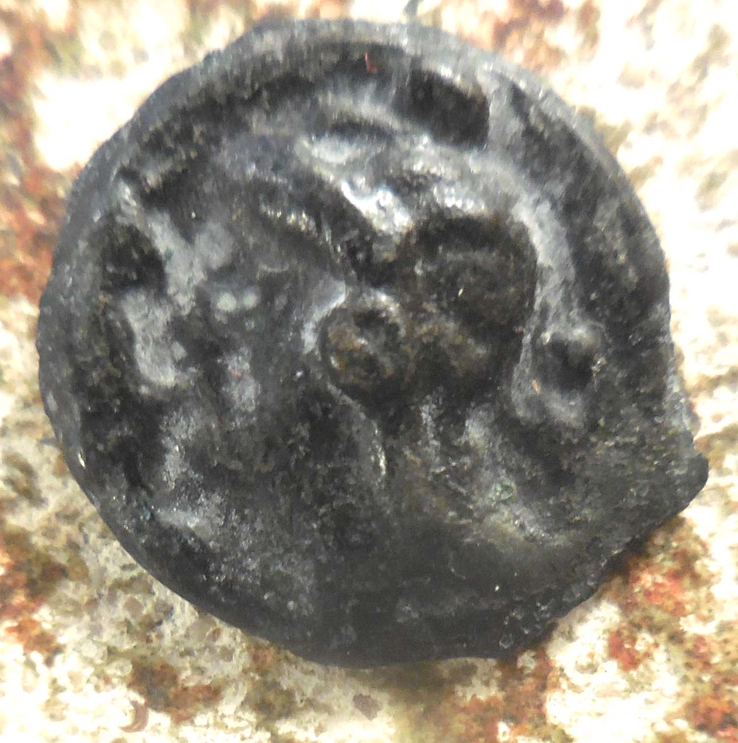 Very-Cool!-Celtic-Gaul,-Bull,-Helmeted-Head,-Ex-Pegasi-Numismatics