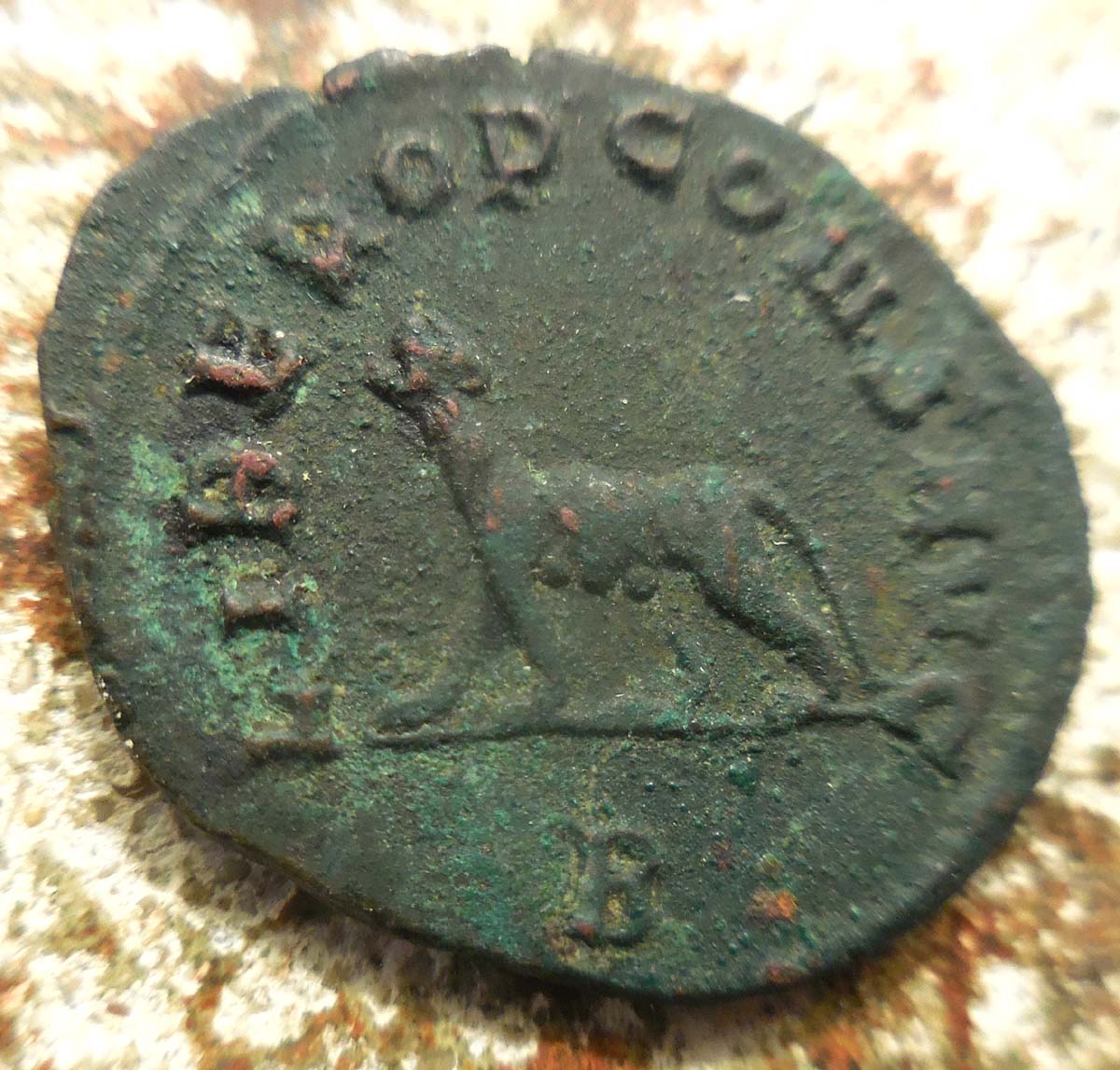 Is-The-Panther-Nursing-Young-On-This-Gallienus?