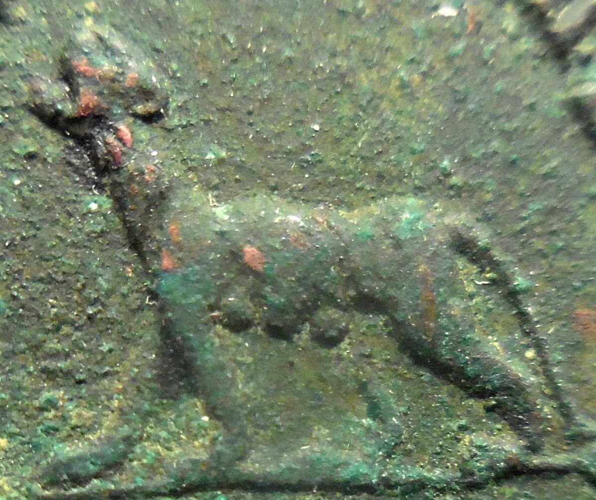 Is-The-Panther-Nursing-Young-On-This-Gallienus?