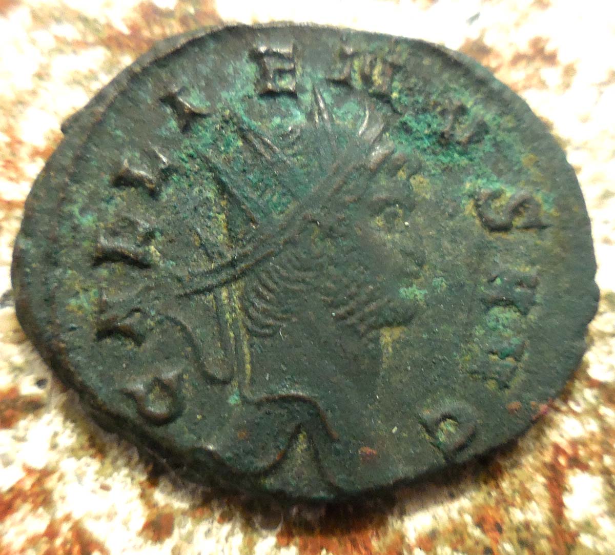 Is-The-Panther-Nursing-Young-On-This-Gallienus?