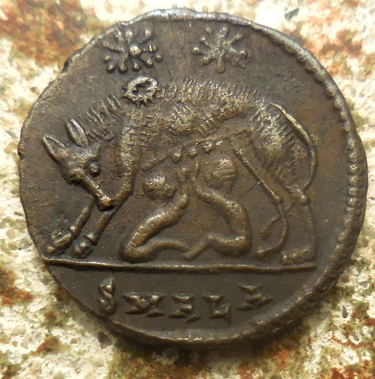 Is-The-Panther-Nursing-Young-On-This-Gallienus?