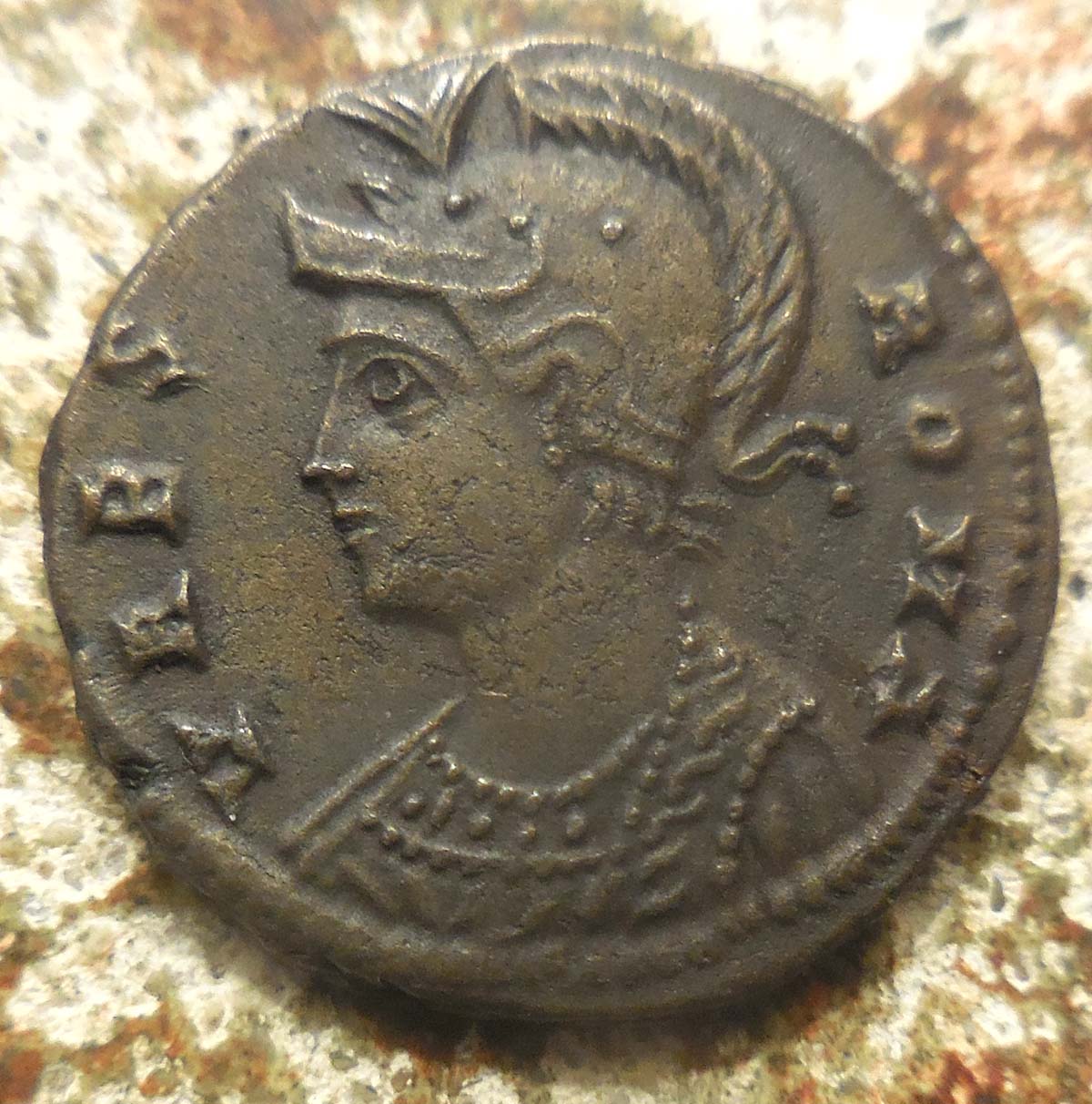 Is-The-Panther-Nursing-Young-On-This-Gallienus?