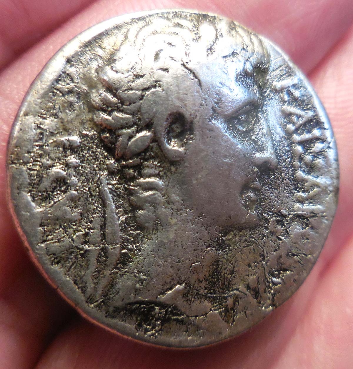 Augustus-Tetradrachm-Antioch,-Real?--I-Am-Evaluating-This-Coin