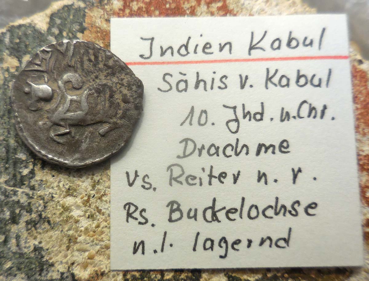 Coins-Of-India---Bull-And-Horseman-Coins-And-Some-Variants