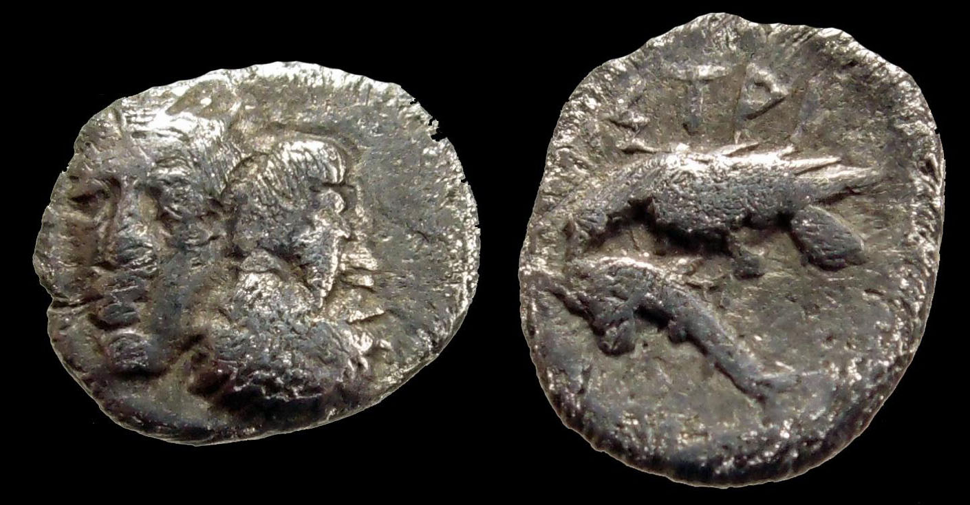 Diobol-From-Moesia,-Istros