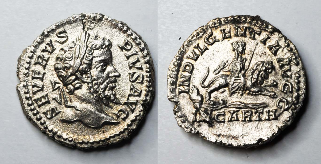 Lion-Coins