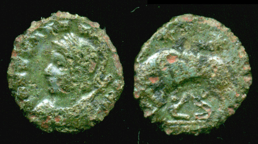 Constantinopolis-Barbs