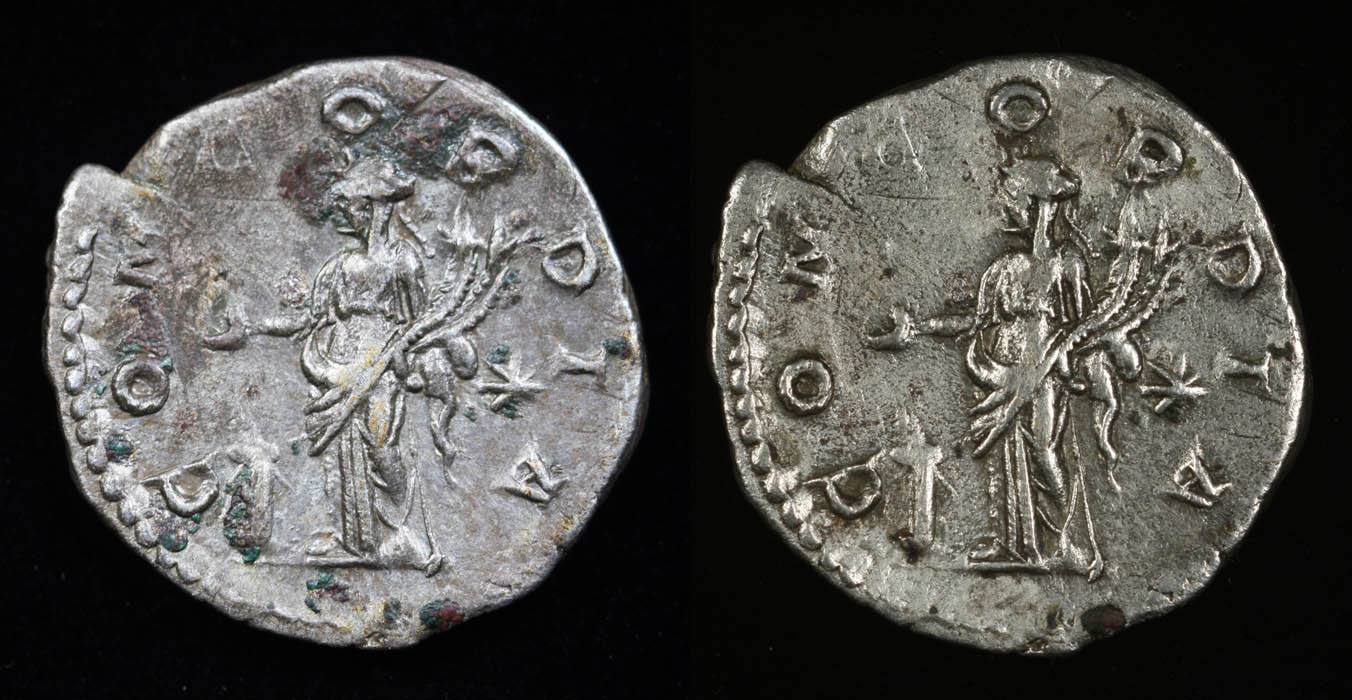 Ancient-Specialists:-What-Cleaning-Do-You-Consider-Harsh?