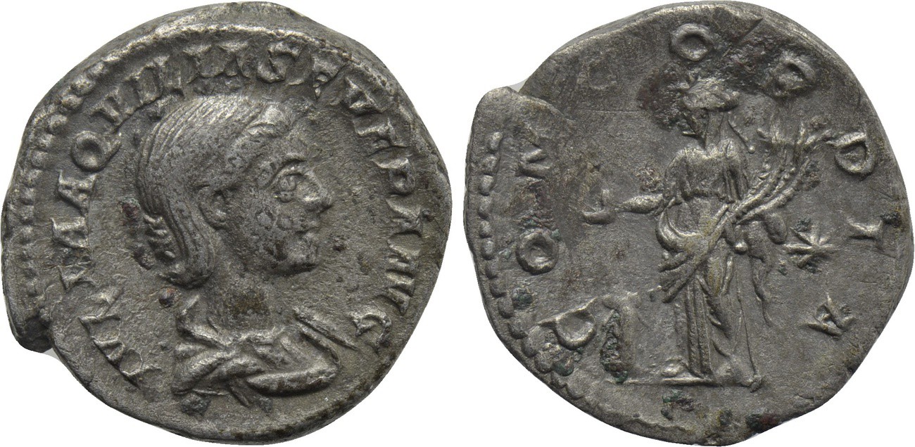Ancient-Specialists:-What-Cleaning-Do-You-Consider-Harsh?