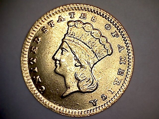 False-Or-Authentic?-Dollar-1868-Gold