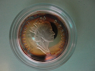 Discovering-Nature-Coin-Discoloration