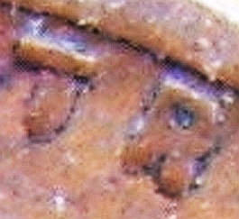 1934-Penny-...just-A-Lot-Of--Worm-Out-Or-Can-Be-Anything-Else-?...