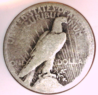 Odd-Peace-Dollar