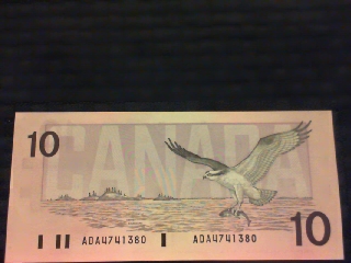 Post-Your-Paper-Money-Collections.