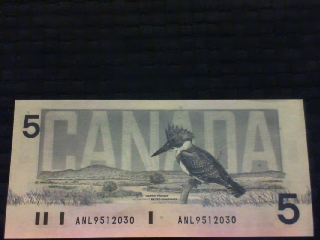 Post-Your-Paper-Money-Collections.