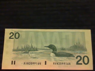 Post-Your-Paper-Money-Collections.