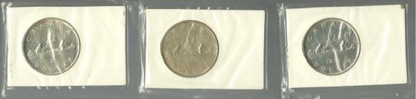 Silver-Dollars