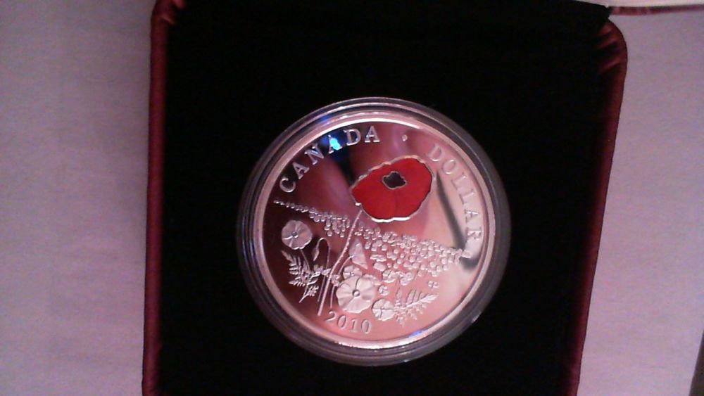 Your-Latest-NCLT-Coin-Purchase!