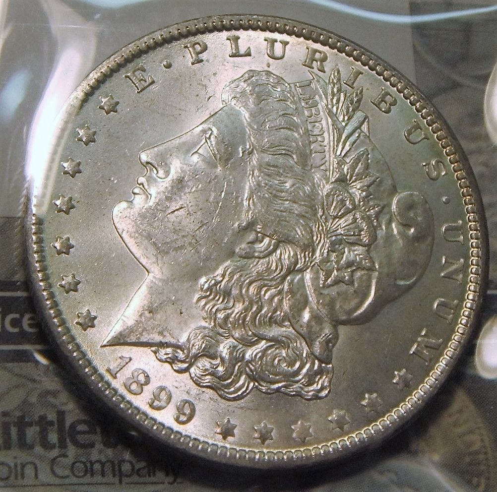 All-Members,-Post-Your-Most-Recent-US-Coin-Purchases!