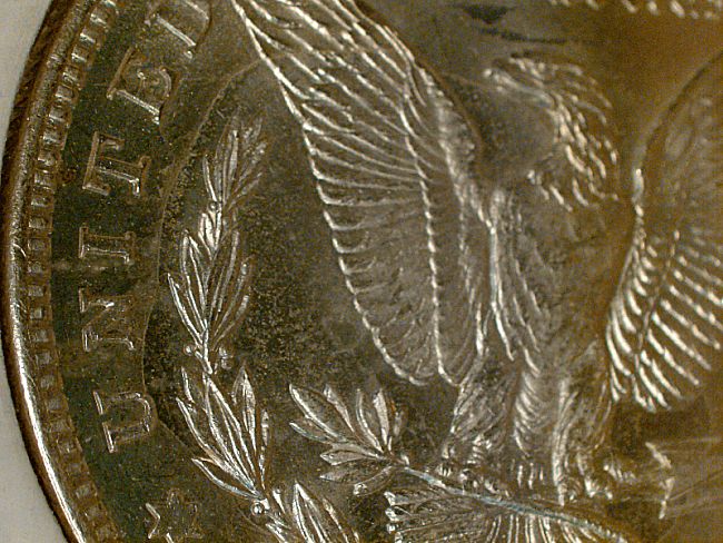 1921-D-Morgan---Which-VAM-Is-This?