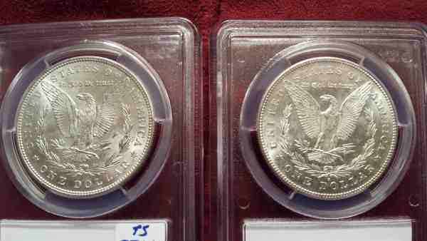 My-Two-Newest-Morgans-1896-&-1878-S