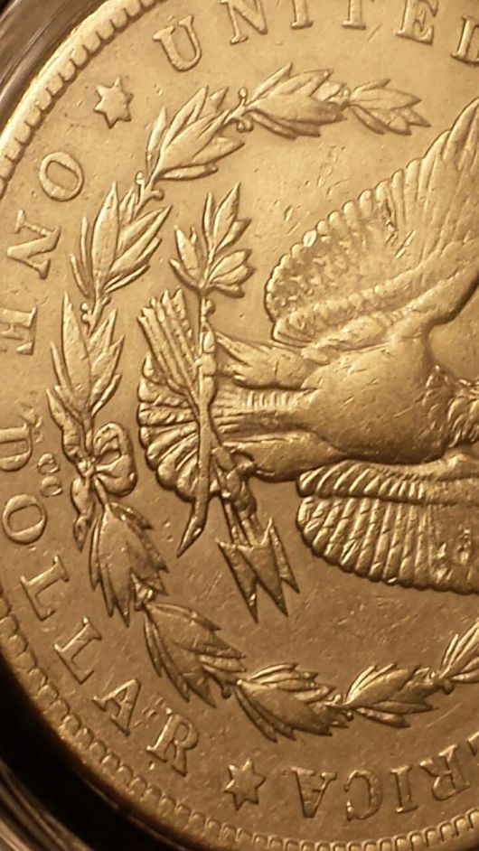 Has-This-Morgan-Been-Cleaned?