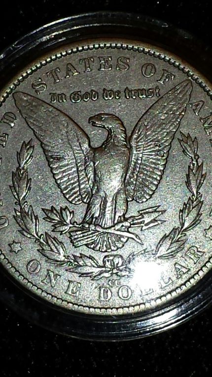 Has-This-Morgan-Been-Cleaned?