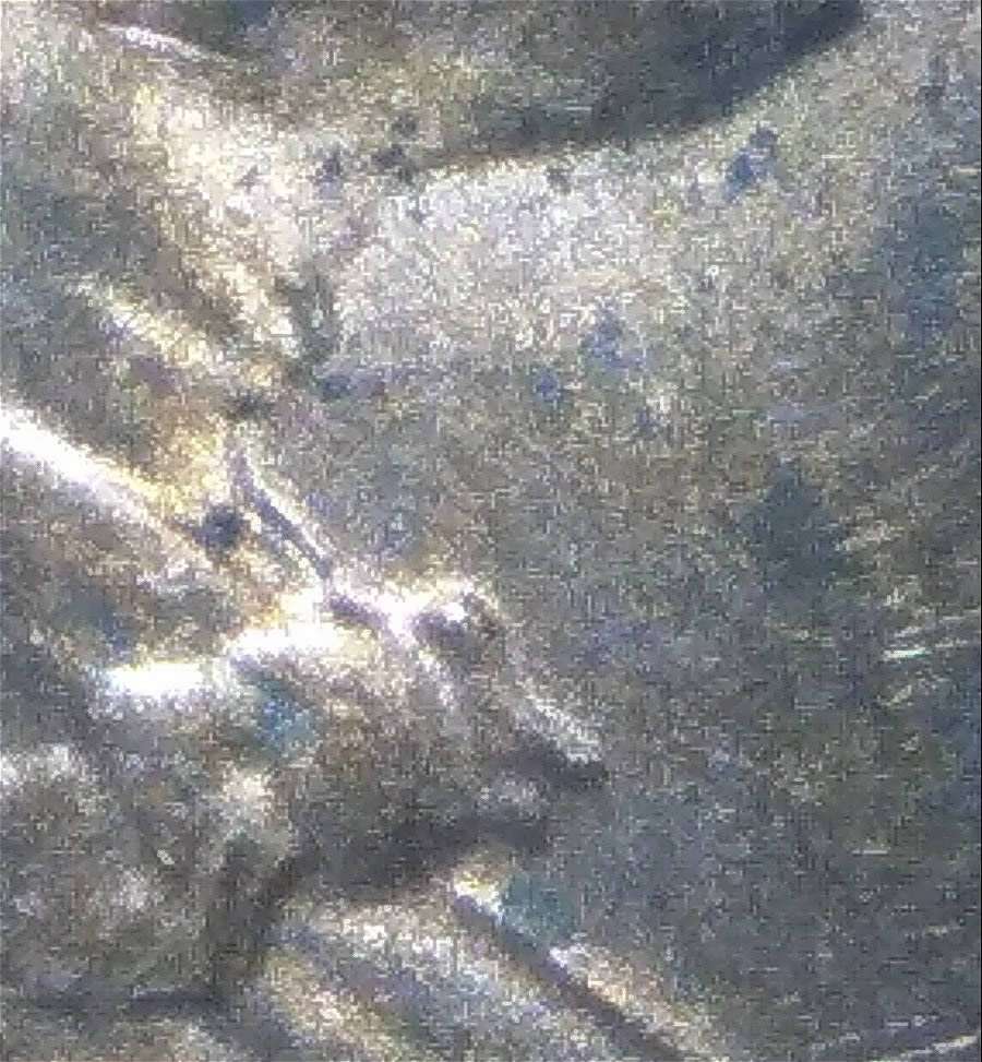 1989-D-Cent-Do-001-Nice-Example