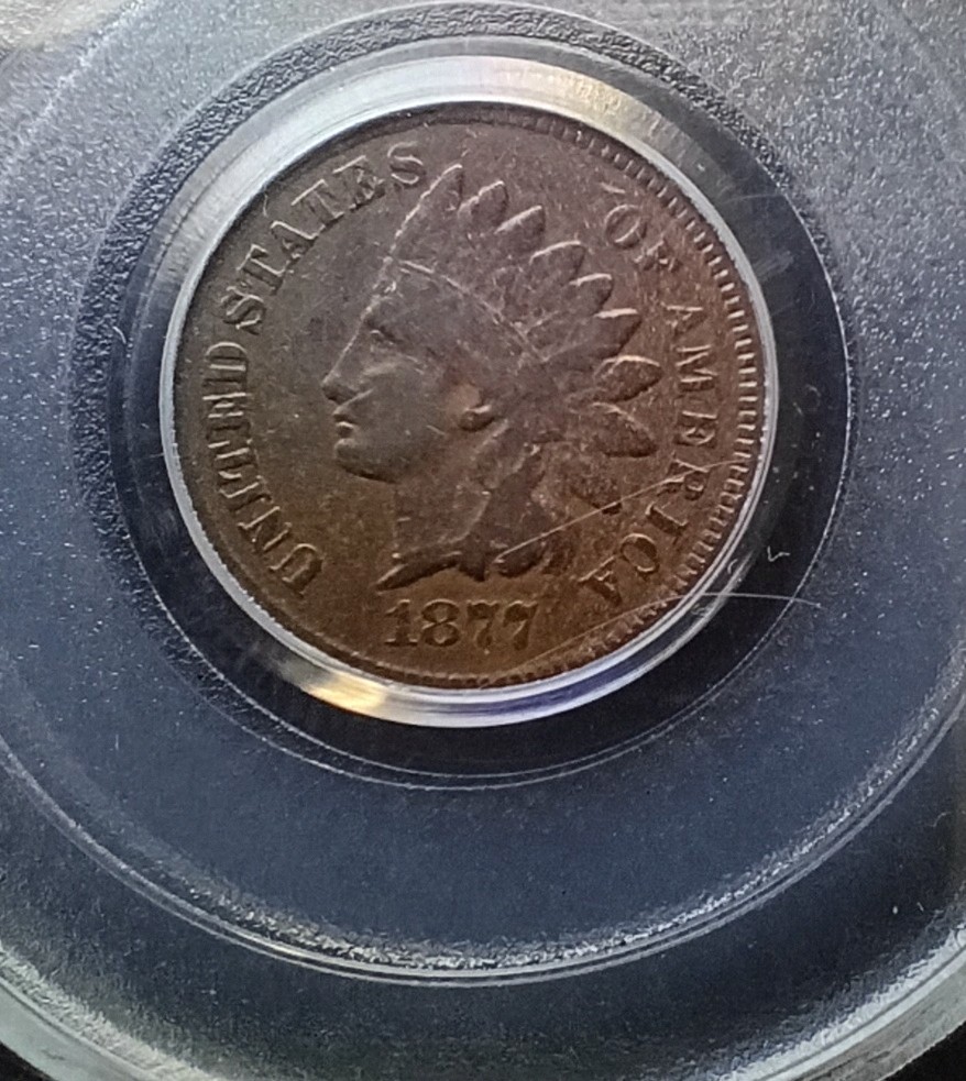 1877-Indian-Head-Cent-Grade-Opinions
