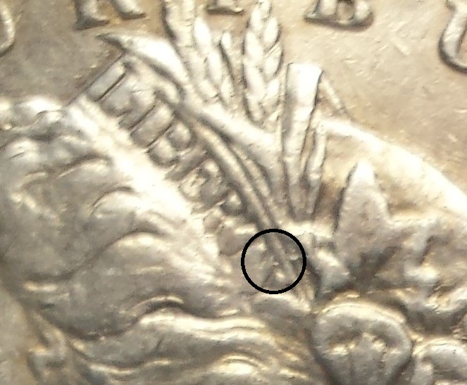 Morgan-1894-P-Fake?