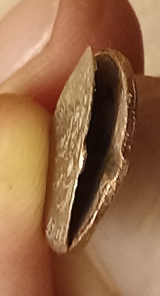 Totally-Damaged-2016-Dime---Yet-Very-Strange