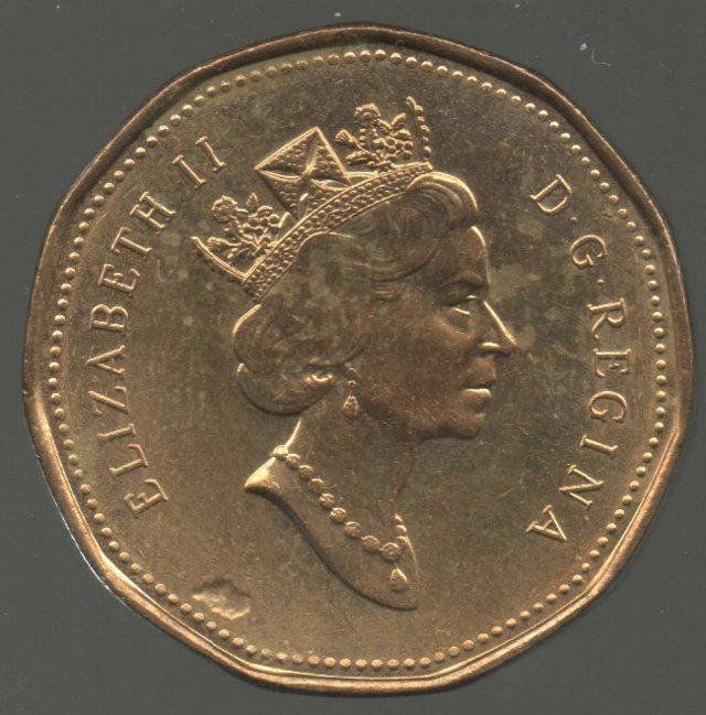Pit-On-A-Loonie