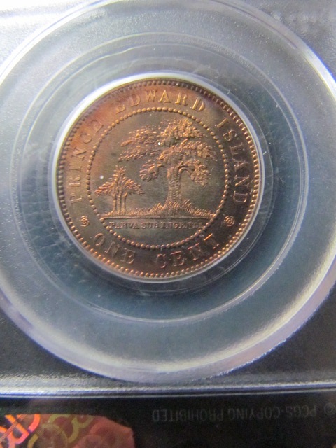 Show-Us-Some-Of-Your-Finest-Red-Cents