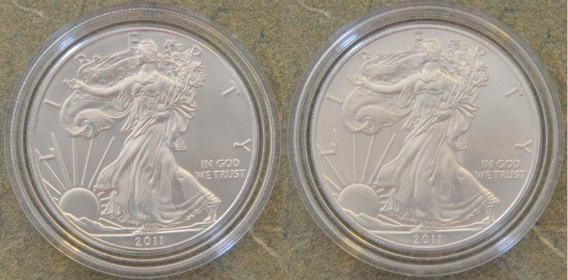 25th-Anniversary-Bullion-Coin-Surface-Finish