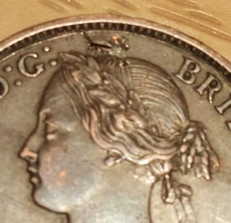 HI-I-Have-A-Few-Coins-Hope-You-Can-Help