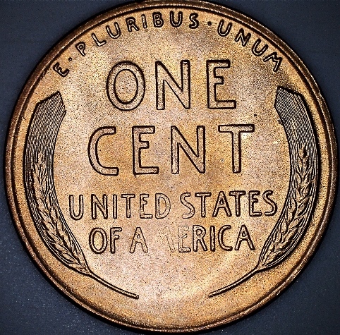 MS-1955-S/S-With-Struck-Through-Grease-Reverse