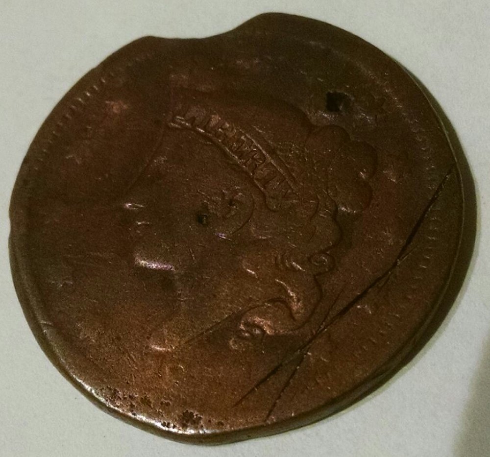 Braided-Hair-Large-Cent-Mint-Clip?