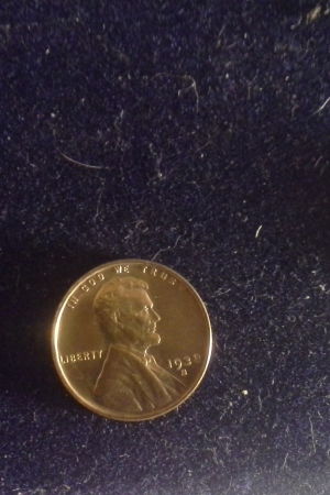 Lincoln-Wheat-Backs-Feed-Back-Plz.-Get-Graded?..