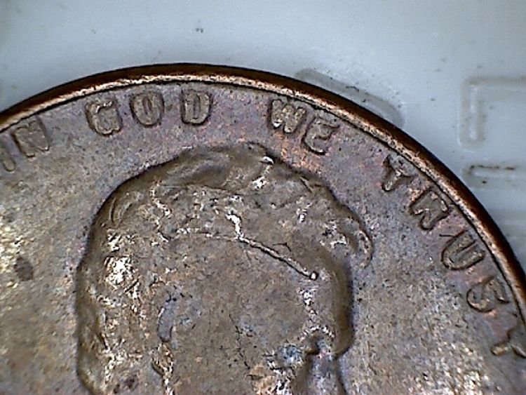 1955-DDO