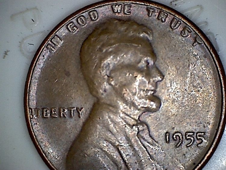 1955-DDO
