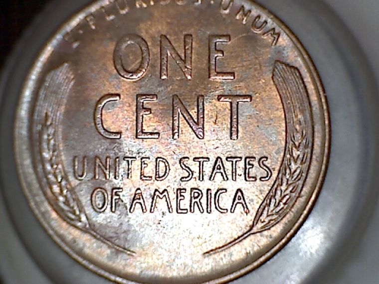 1953-Wheat