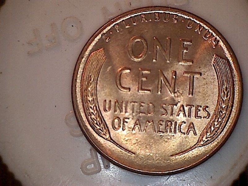 1954-Wheat-For-Grade