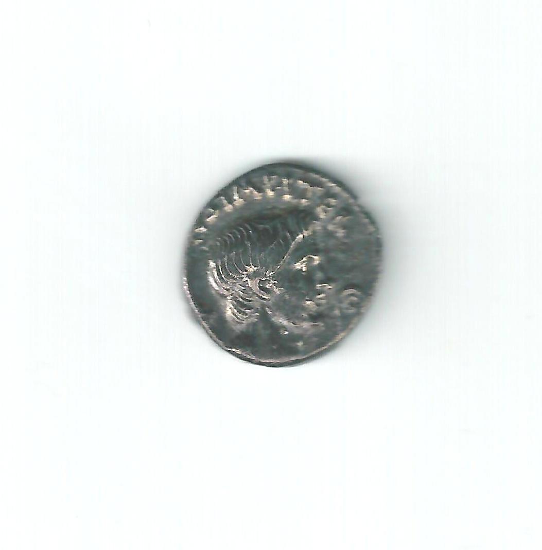 Denarius-Opinions-Please