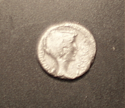 Fulvia-Quinarius