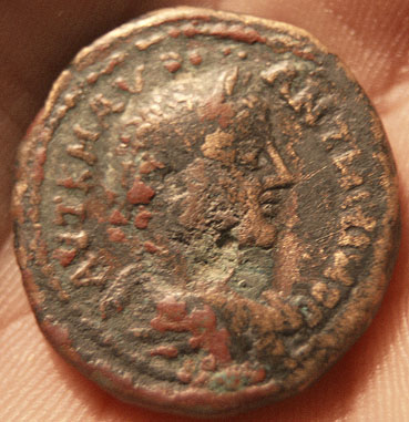 ¿greek-Mint?