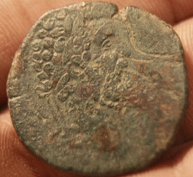 Didius-Julianus