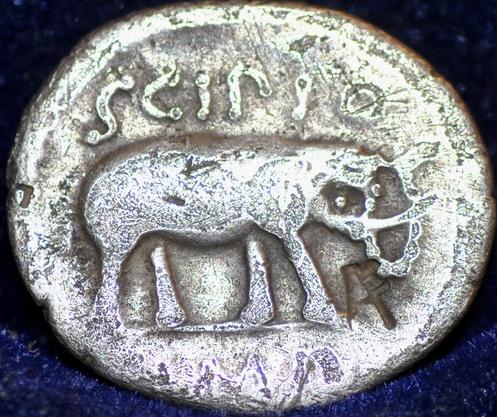 Q.-Caecilius-Metellus-Pius-Scipio,-Imperator.-47-46-Bc.